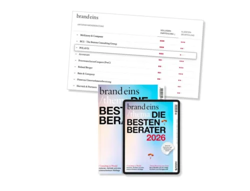 Ausgezeichnete Beratung führt  zum Projekterfolg